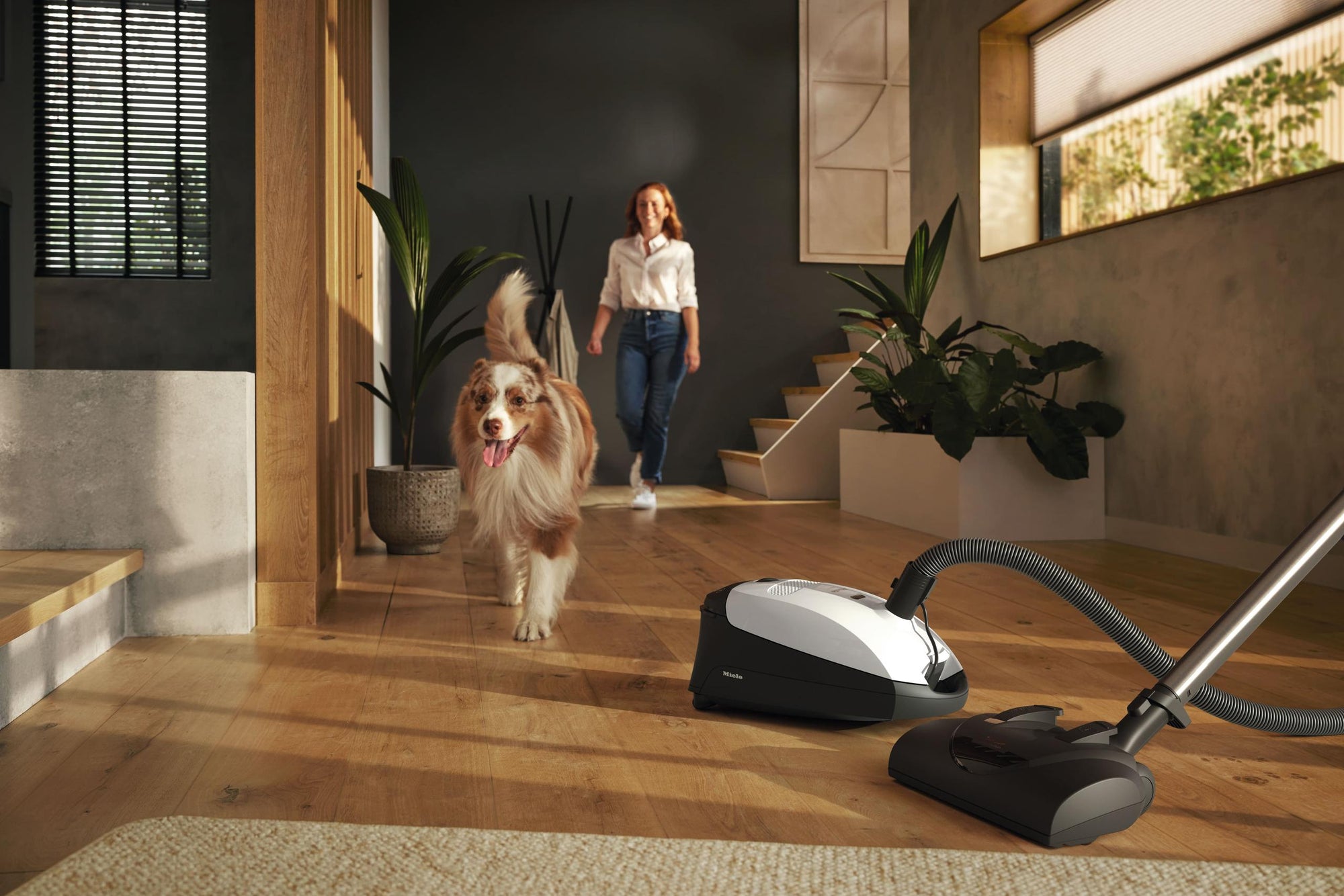 Miele CLASSIC C1 CAT DOG POWERLINE SBBN0LW Classic C1 Cat &amp; Dog Powerline – Sbbn0 – Bodenstaubsauger mit Elektrobürste für die gründliche Reinigung von strapazierfähigen Teppichen.